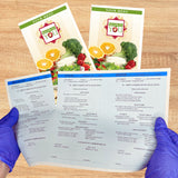 Especially for You 8-1/2" X 14" Green Blank Menu Jackets - Pack of 250