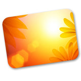 Sunshine Daisies 14" X 19" Traycovers - Case of 1000